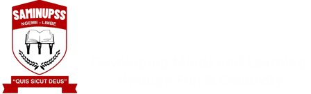 Saminupss logo footer